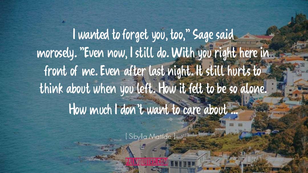Forget You quotes by Sibylla Matilde