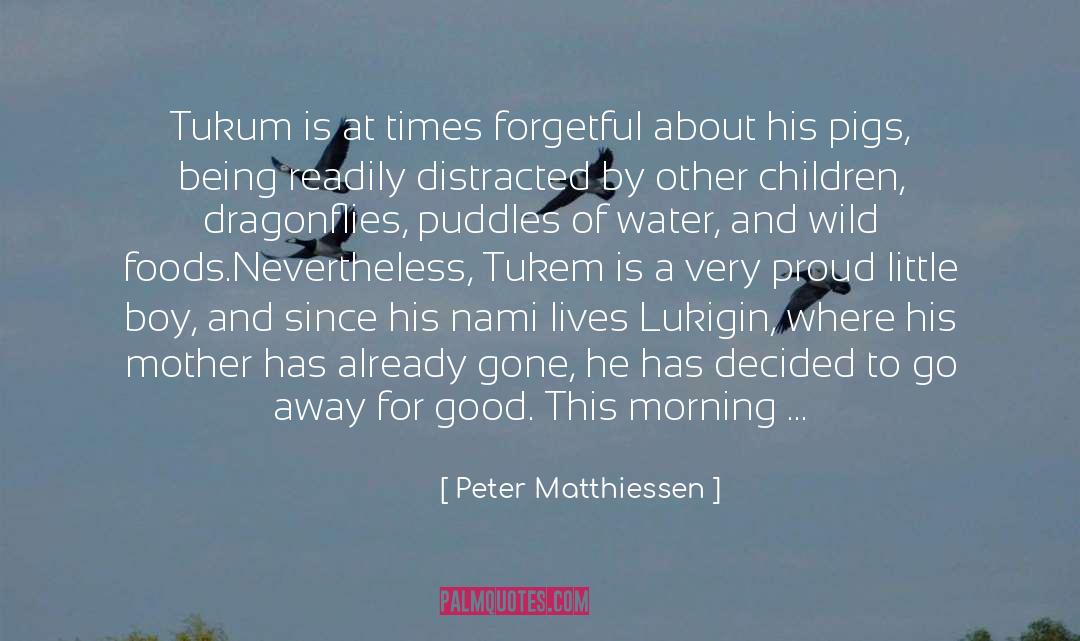 Forgetful quotes by Peter Matthiessen