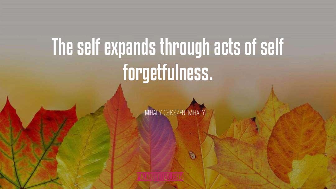 Forgetfulness quotes by Mihaly Csikszentmihalyi