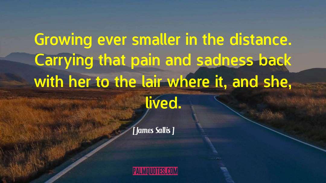 Forgetting The Pain quotes by James Sallis