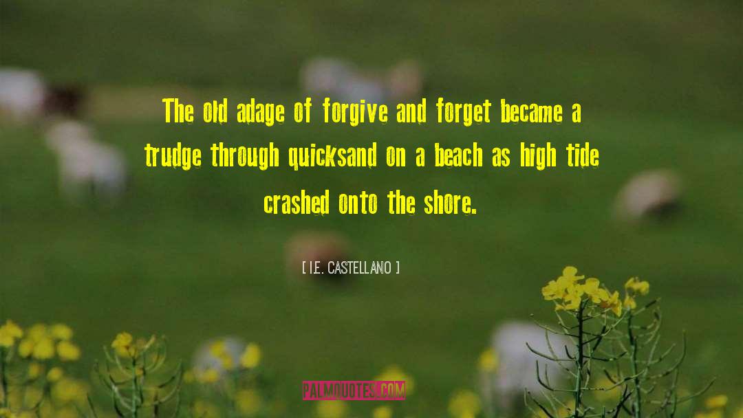 Forgive And Forget quotes by I.E. Castellano