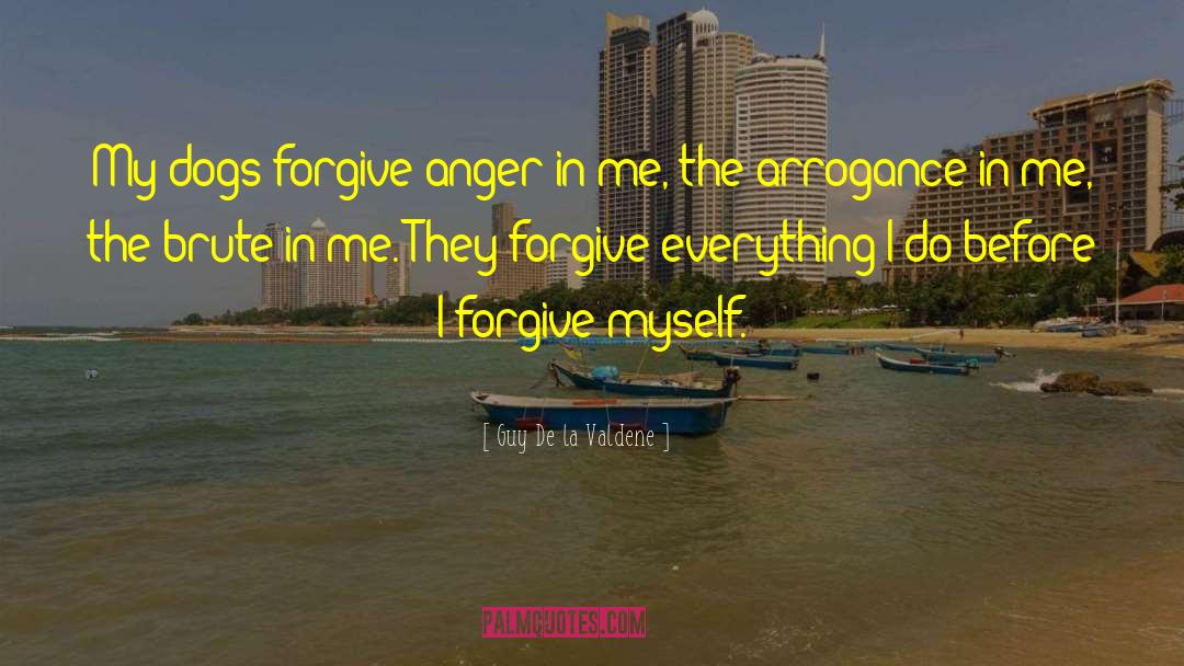 Forgive Anger quotes by Guy De La Valdene