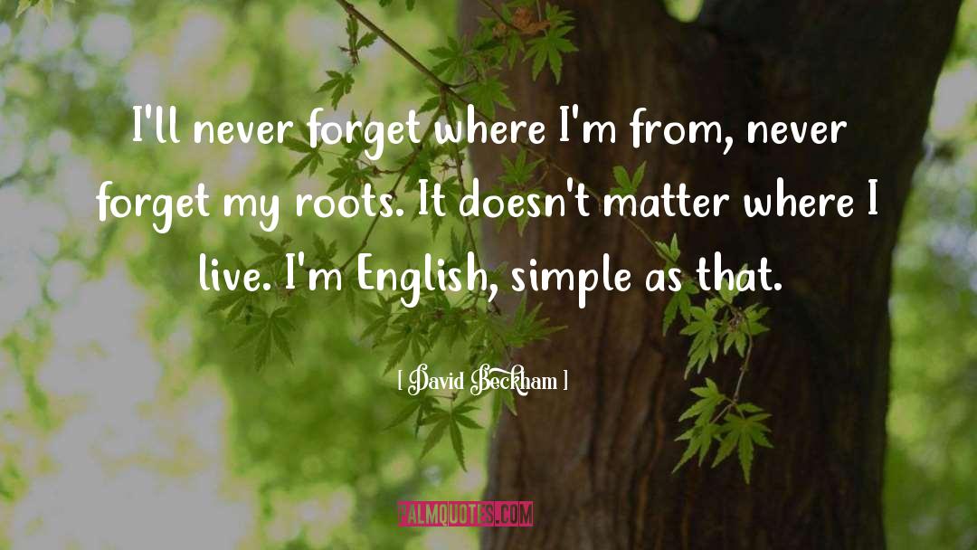 Forgive Forget quotes by David Beckham