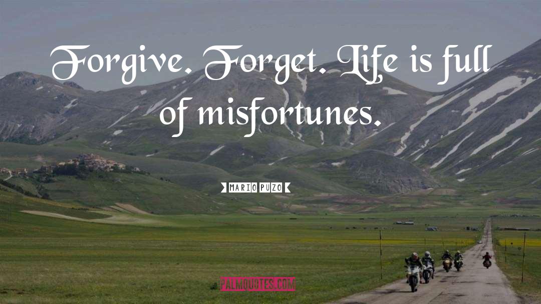 Forgive Forget quotes by Mario Puzo