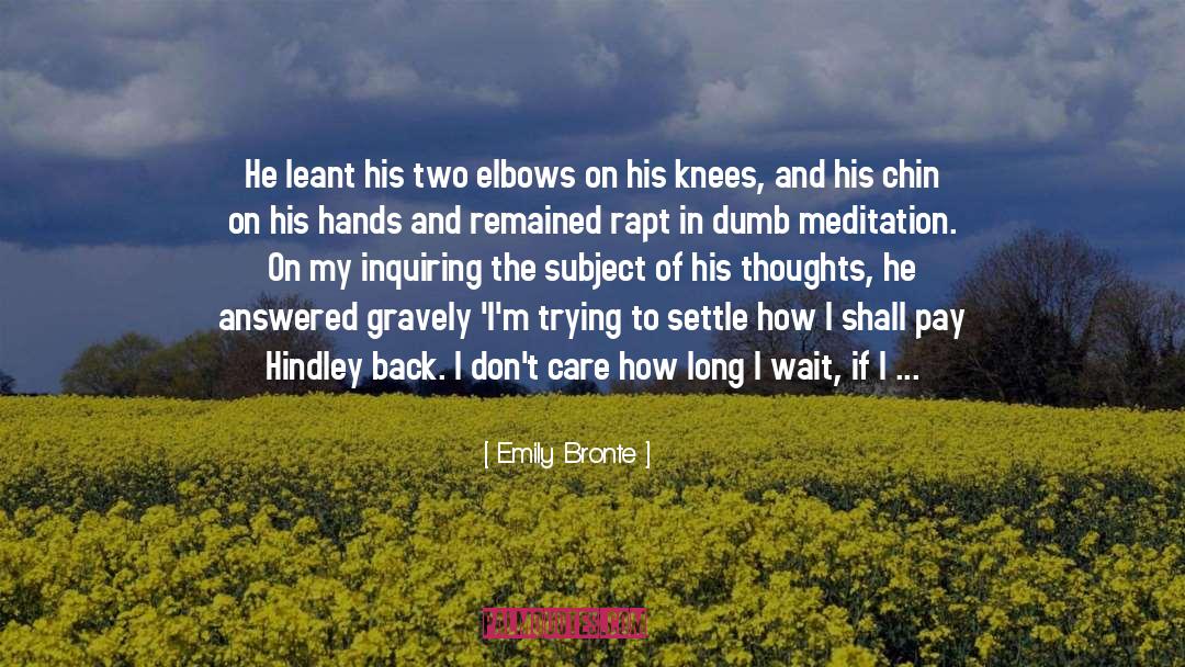 Forgive Me My Salt quotes by Emily Bronte