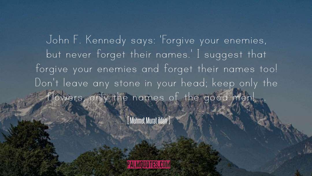 Forgive Your Enemies quotes by Mehmet Murat Ildan