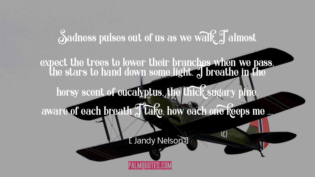 Forgiving Heart quotes by Jandy Nelson