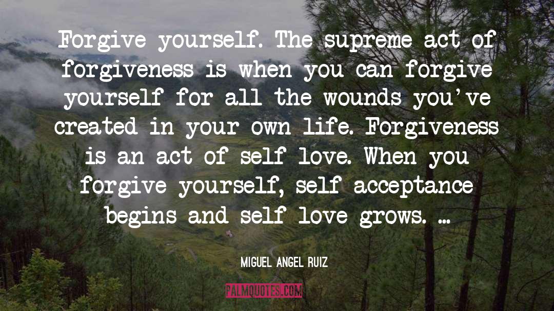 Forgiving Yourself For Your Mistakes quotes by Miguel Angel Ruiz
