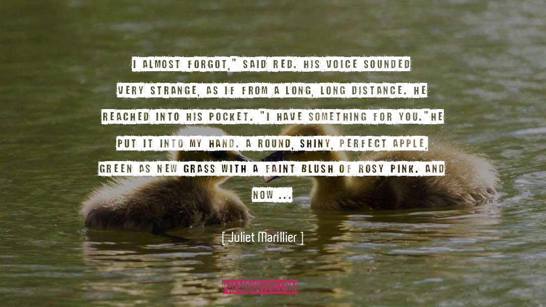 Forgot quotes by Juliet Marillier