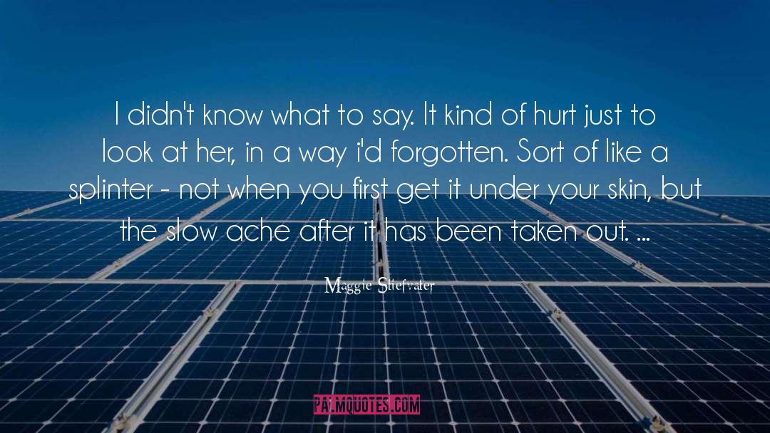 Forgotten Past quotes by Maggie Stiefvater