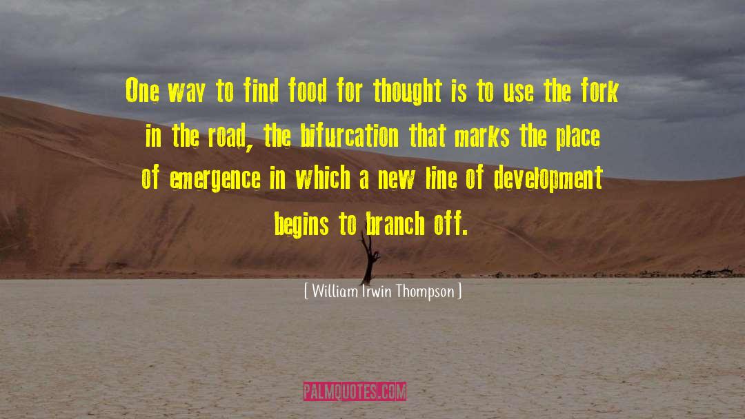 Fork In The Road quotes by William Irwin Thompson