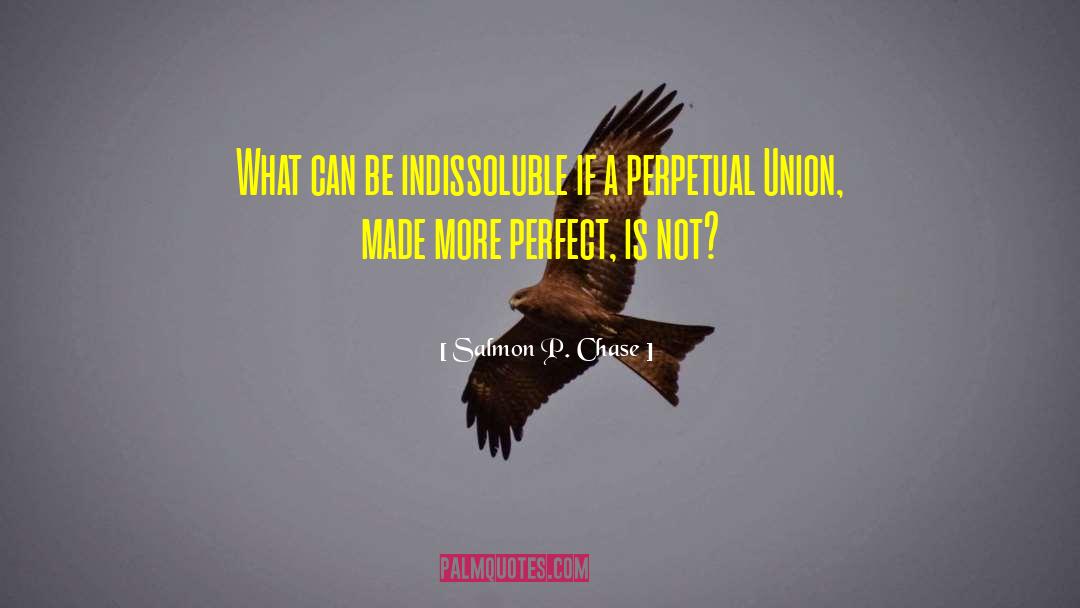 Form A More Perfect Union quotes by Salmon P. Chase