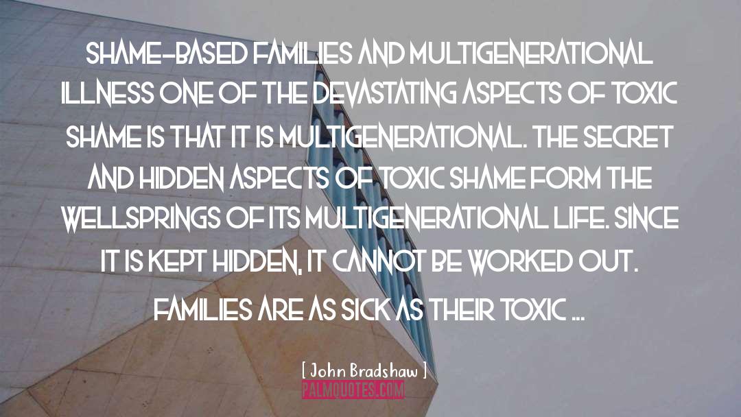 Form And Substance quotes by John Bradshaw