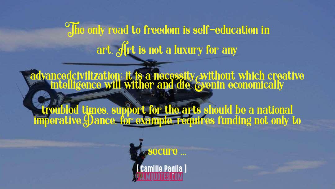 Formal Education quotes by Camille Paglia