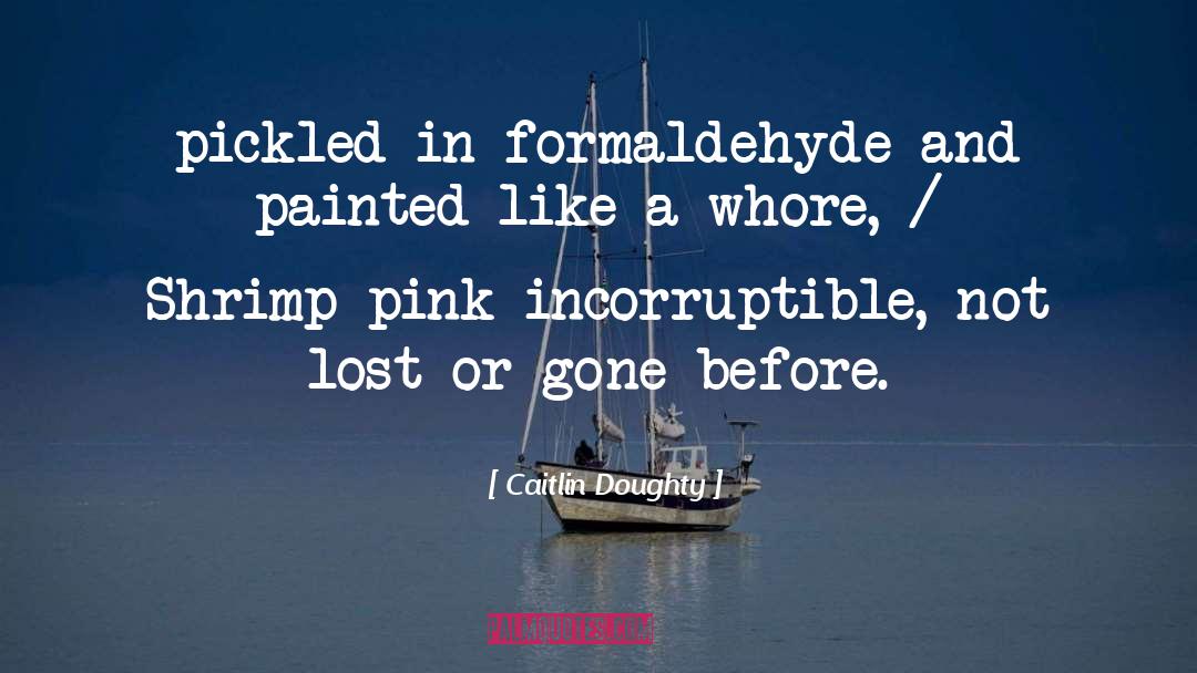 Formaldehyde quotes by Caitlin Doughty