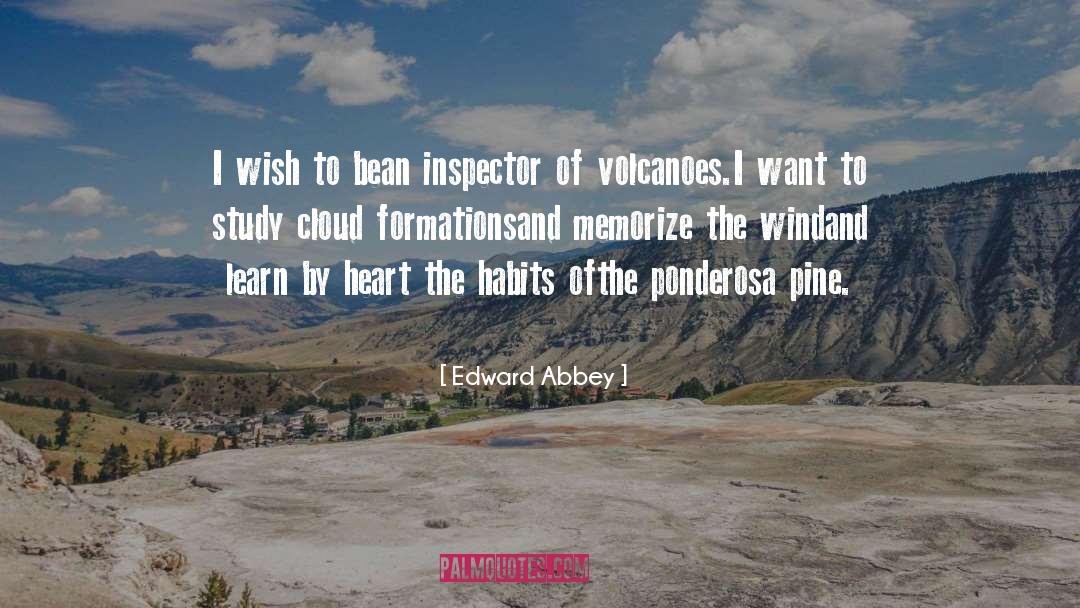 Formations quotes by Edward Abbey