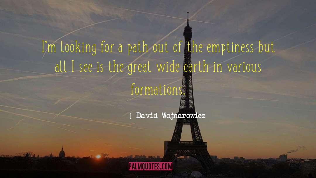 Formations quotes by David Wojnarowicz