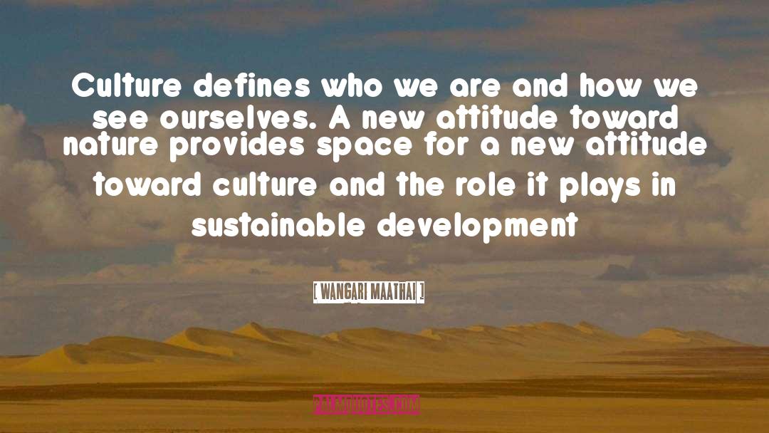 Forming Sustainable Companies quotes by Wangari Maathai