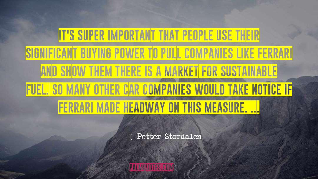 Forming Sustainable Companies quotes by Petter Stordalen