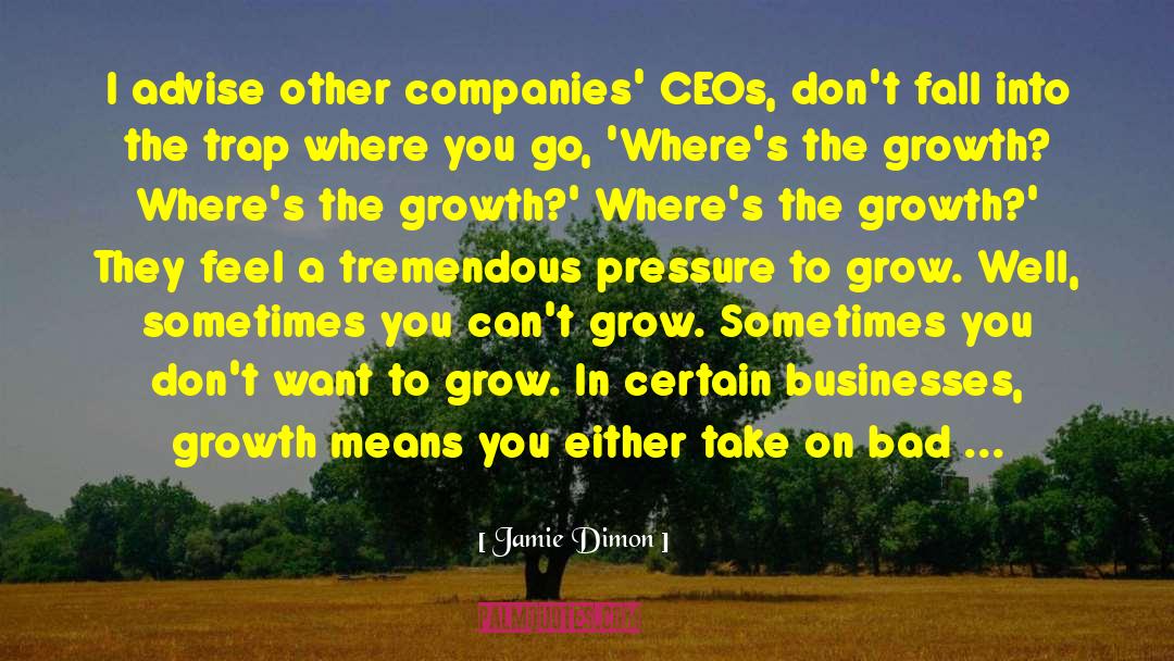 Forming Sustainable Companies quotes by Jamie Dimon