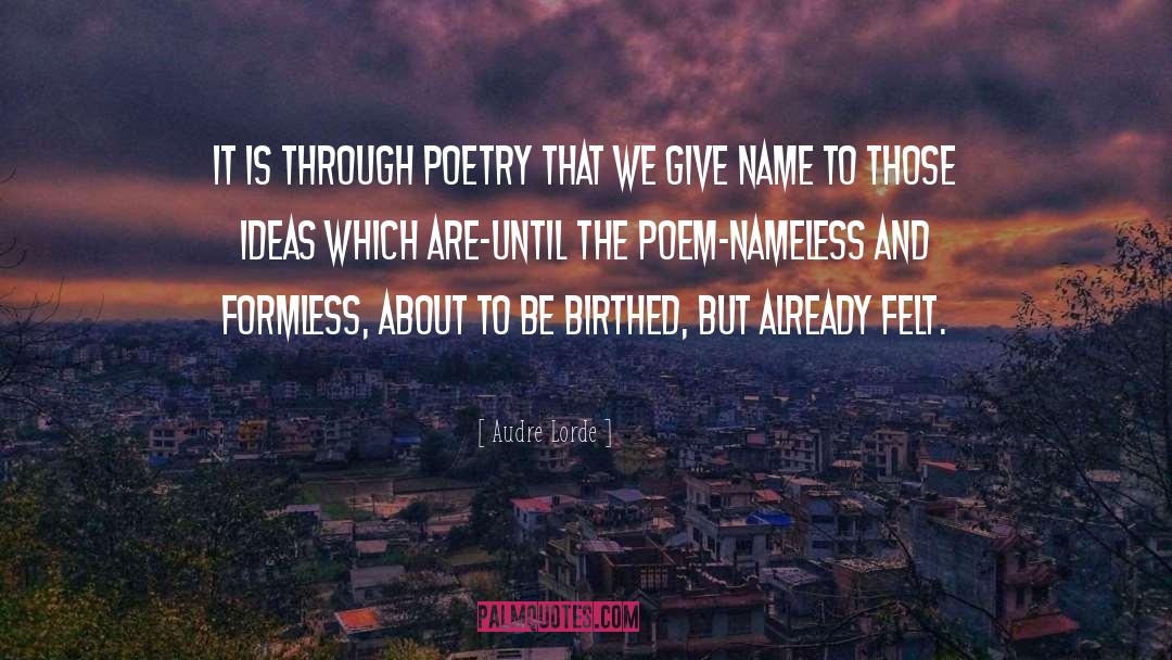 Formless quotes by Audre Lorde