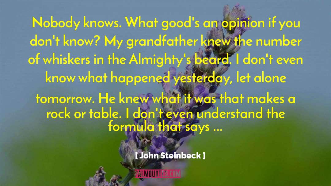 Formula One quotes by John Steinbeck