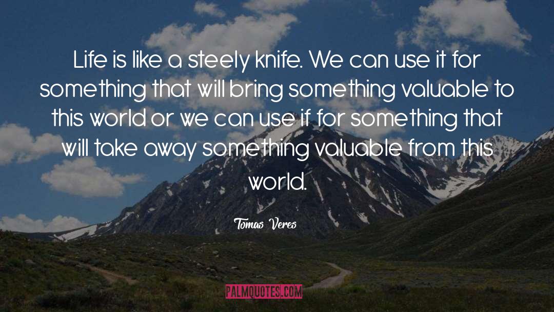 Forschner Knife quotes by Tomas Veres