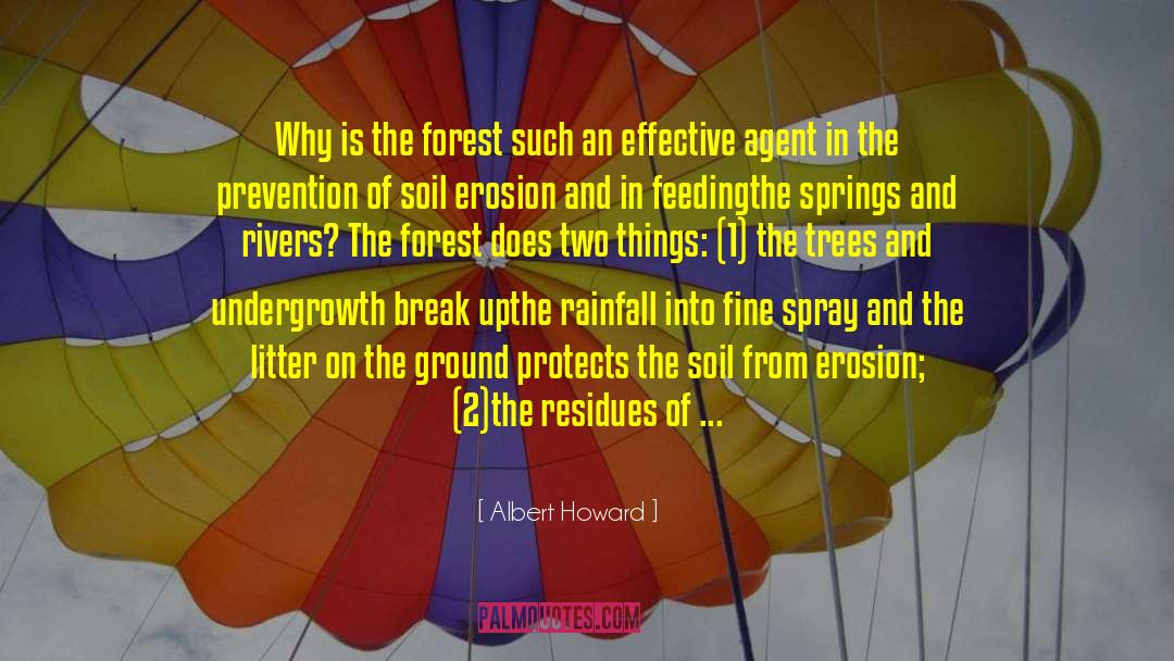 Forsts quotes by Albert Howard
