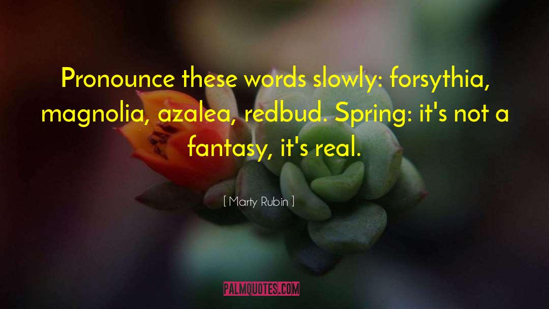 Forsythia quotes by Marty Rubin