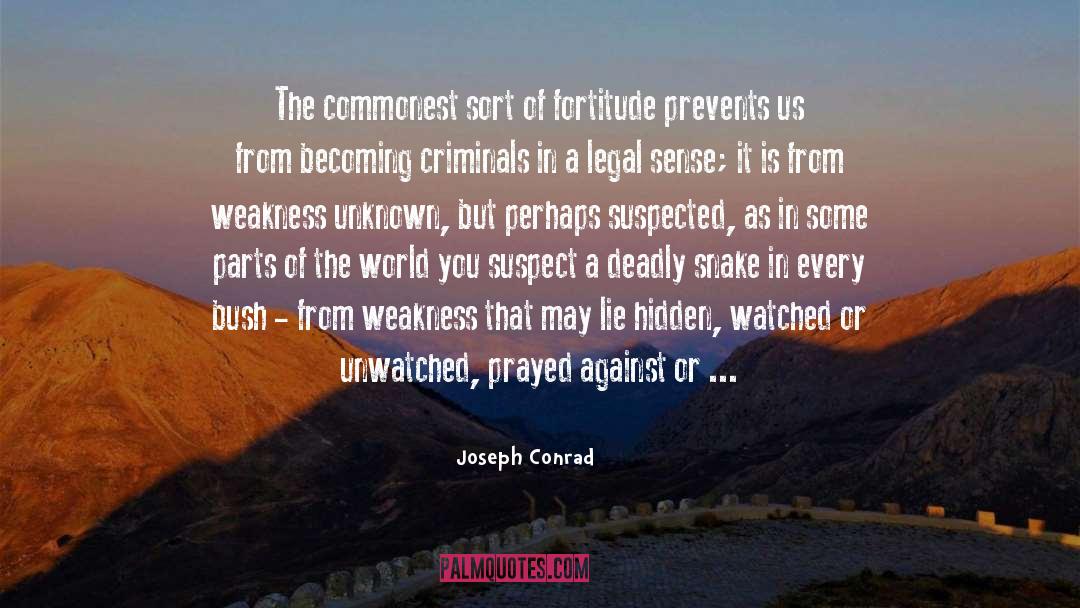 Fortitude quotes by Joseph Conrad