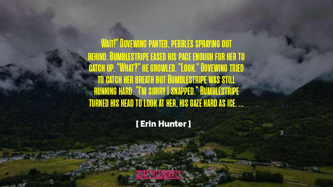 Fortune Hunter quotes by Erin Hunter