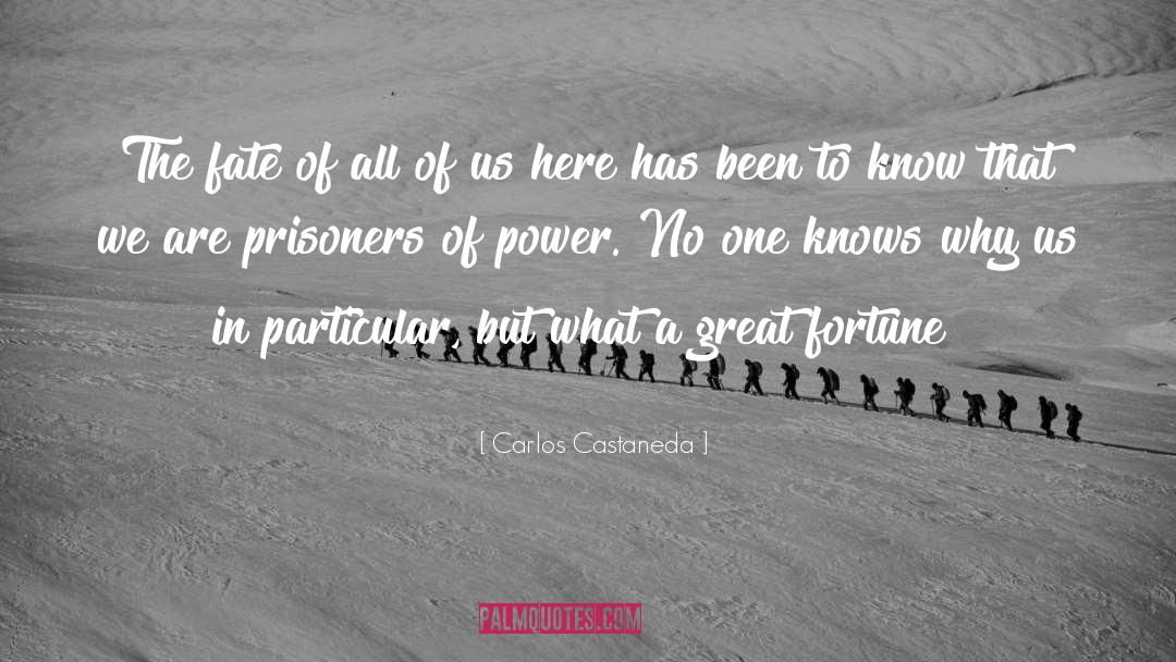 Fortune quotes by Carlos Castaneda