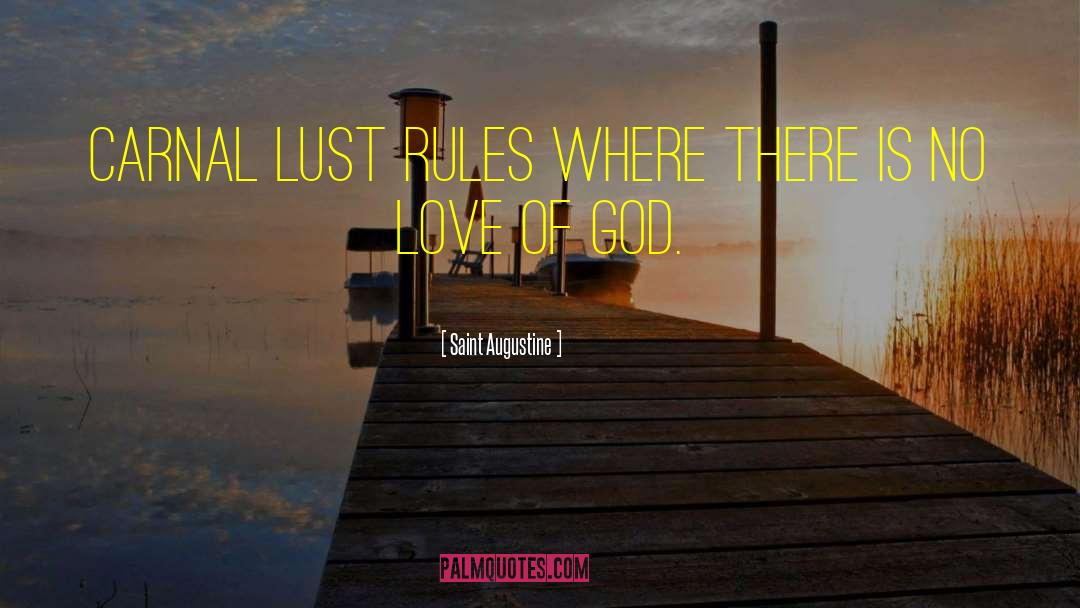 Forty Rules Of Love quotes by Saint Augustine