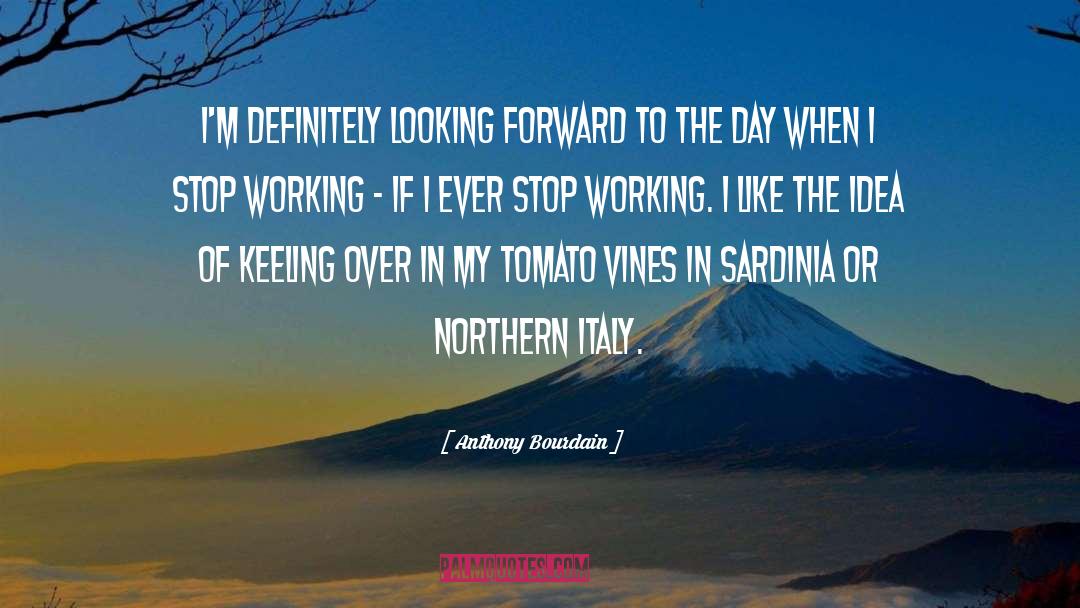 Forward Momentum quotes by Anthony Bourdain