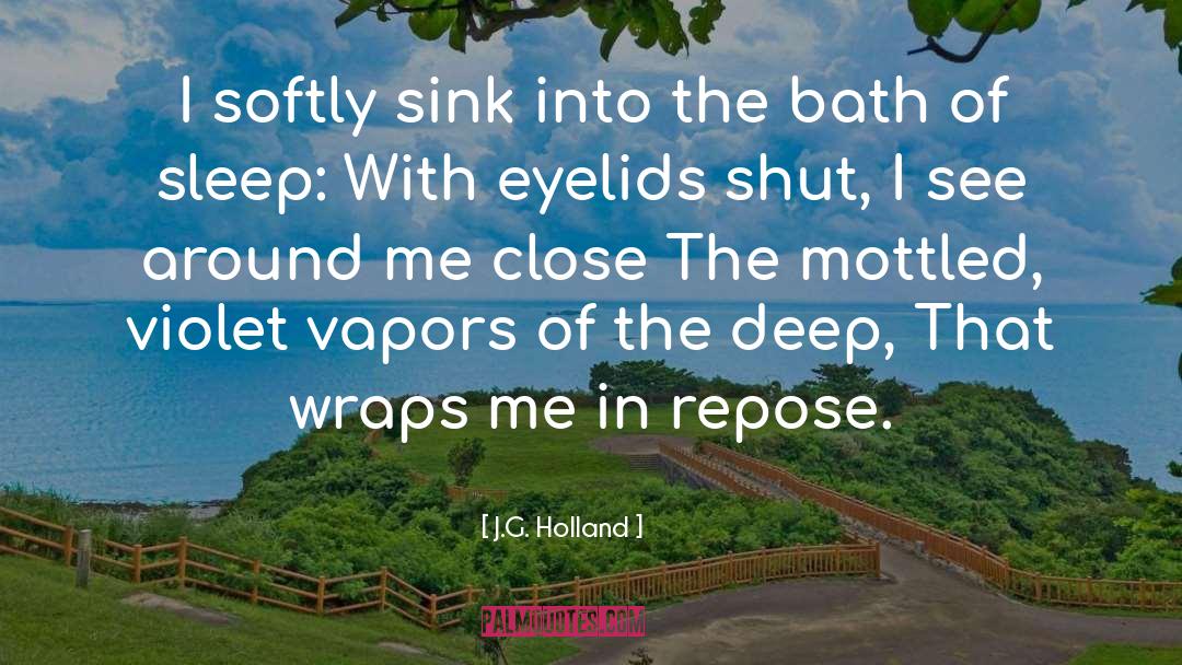Fossett Sink quotes by J.G. Holland