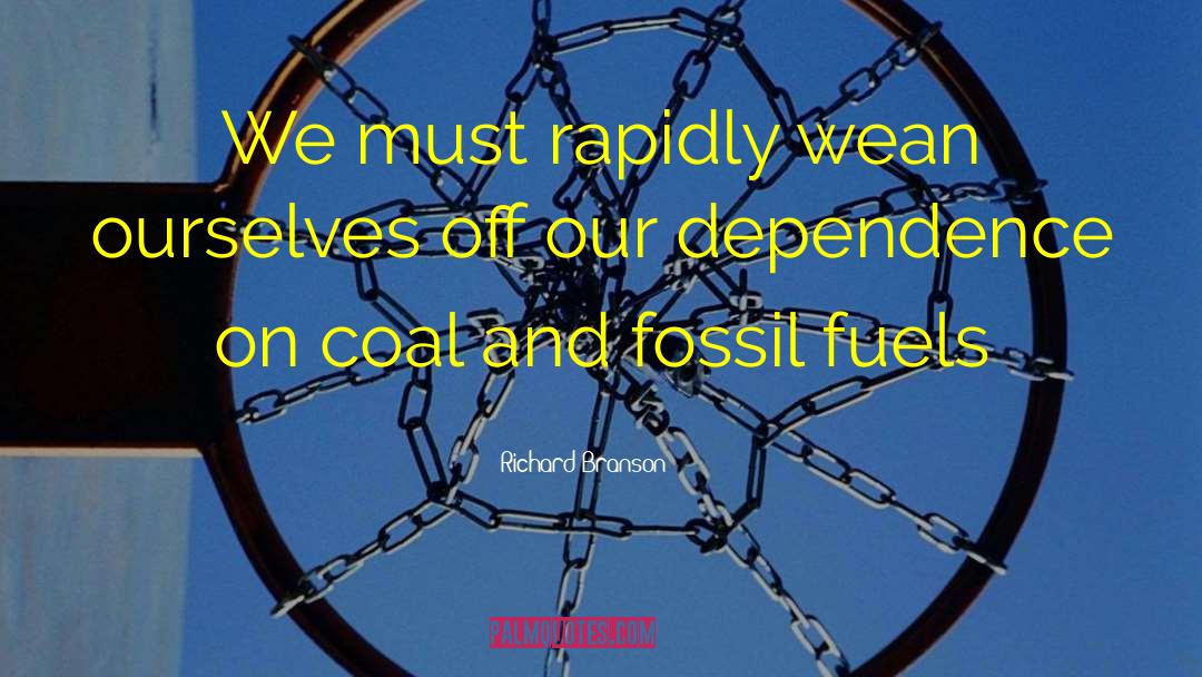 Fossil Fuel quotes by Richard Branson