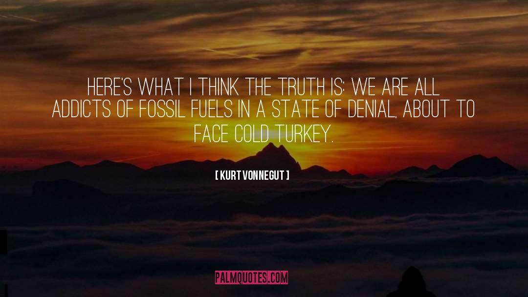Fossil Fuels quotes by Kurt Vonnegut