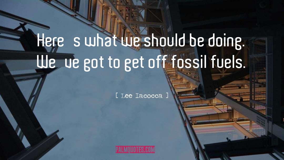 Fossil Fuels quotes by Lee Iacocca