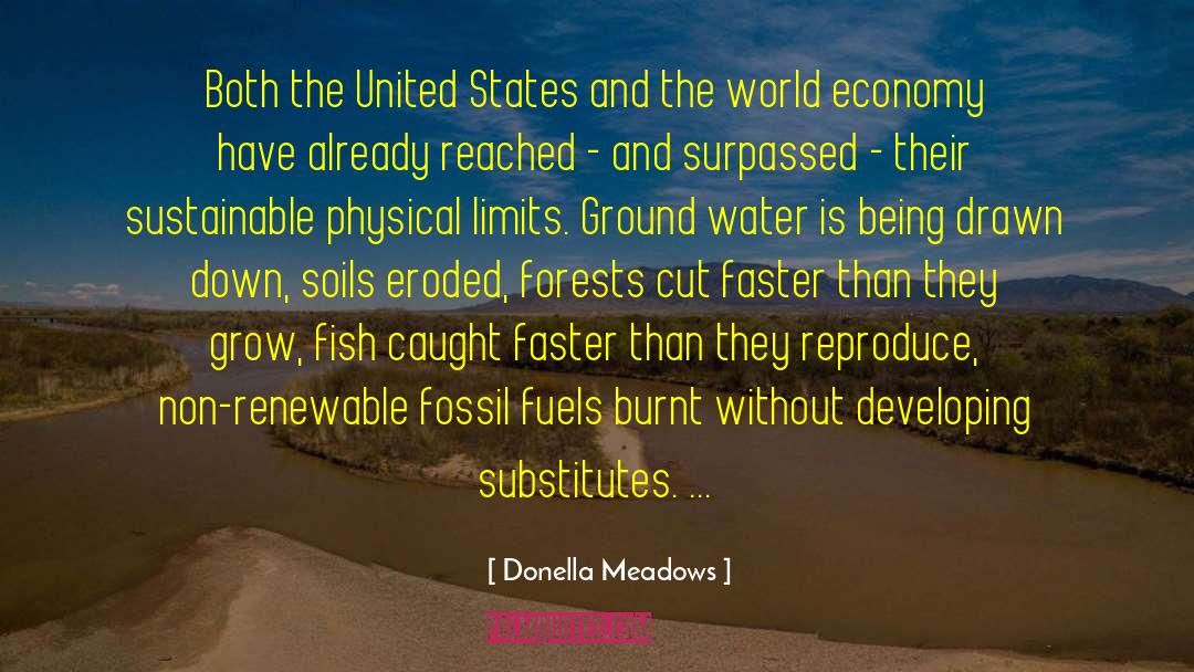 Fossil Fuels quotes by Donella Meadows