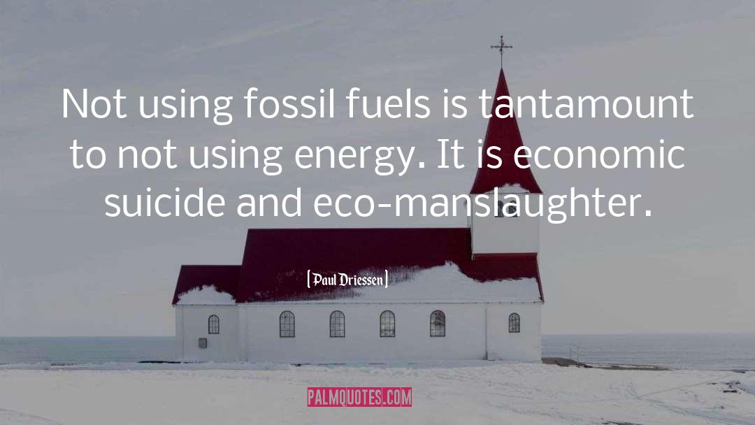 Fossil Fuels quotes by Paul Driessen