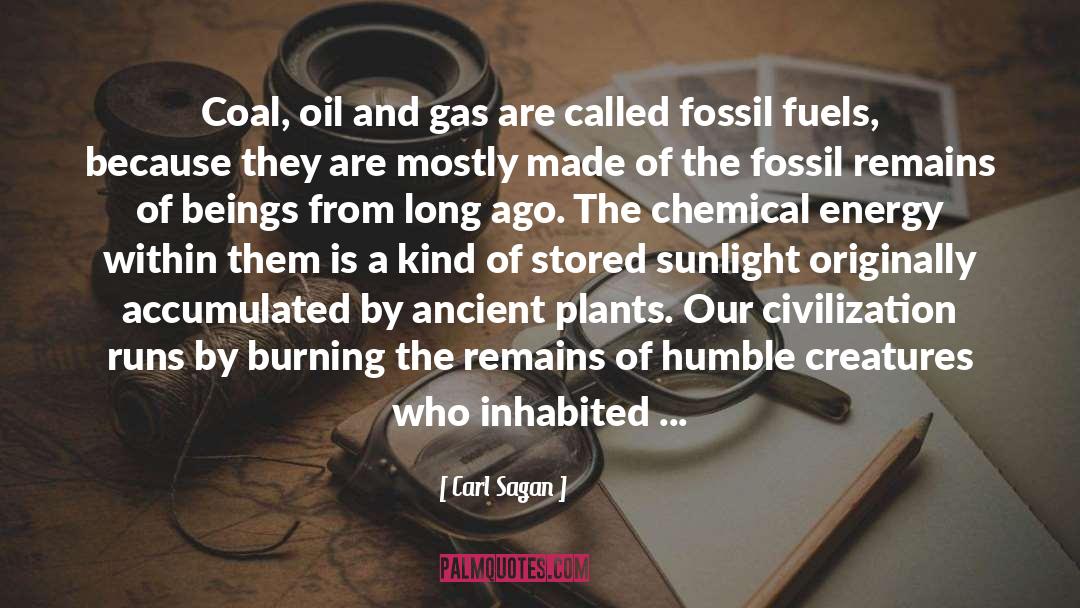 Fossil Fuels quotes by Carl Sagan