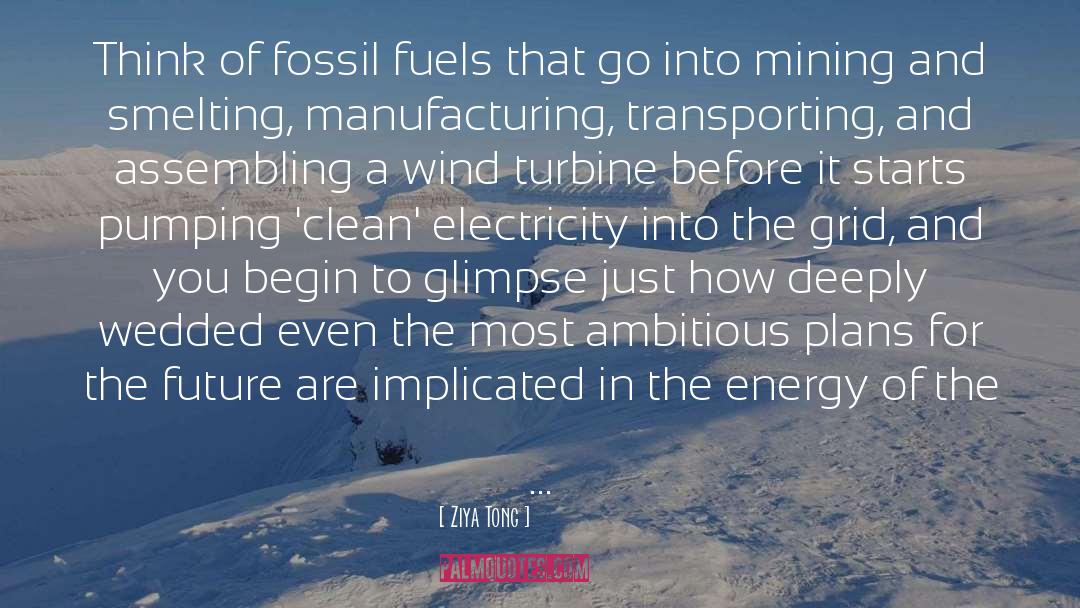 Fossil Fuels quotes by Ziya Tong