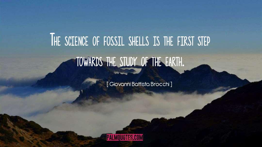 Fossils quotes by Giovanni Battista Brocchi