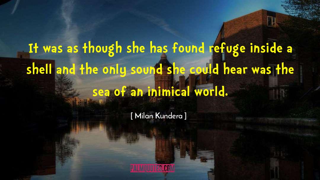 Found Footage quotes by Milan Kundera
