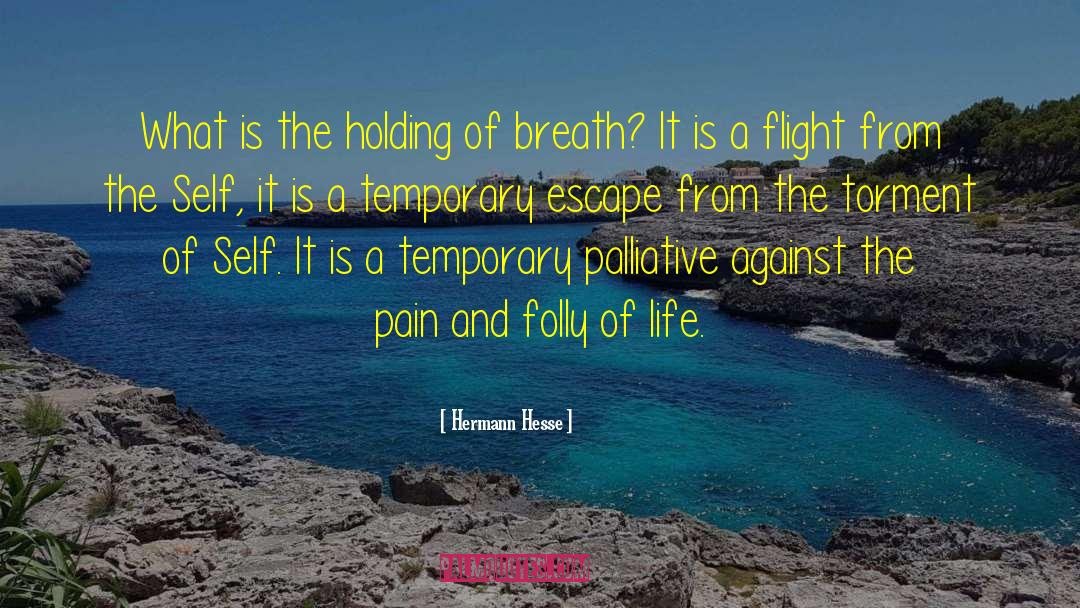 Found Holding Breath quotes by Hermann Hesse