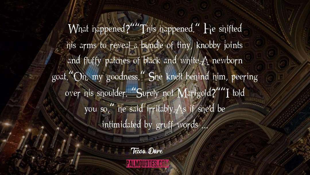 Found You quotes by Tessa Dare