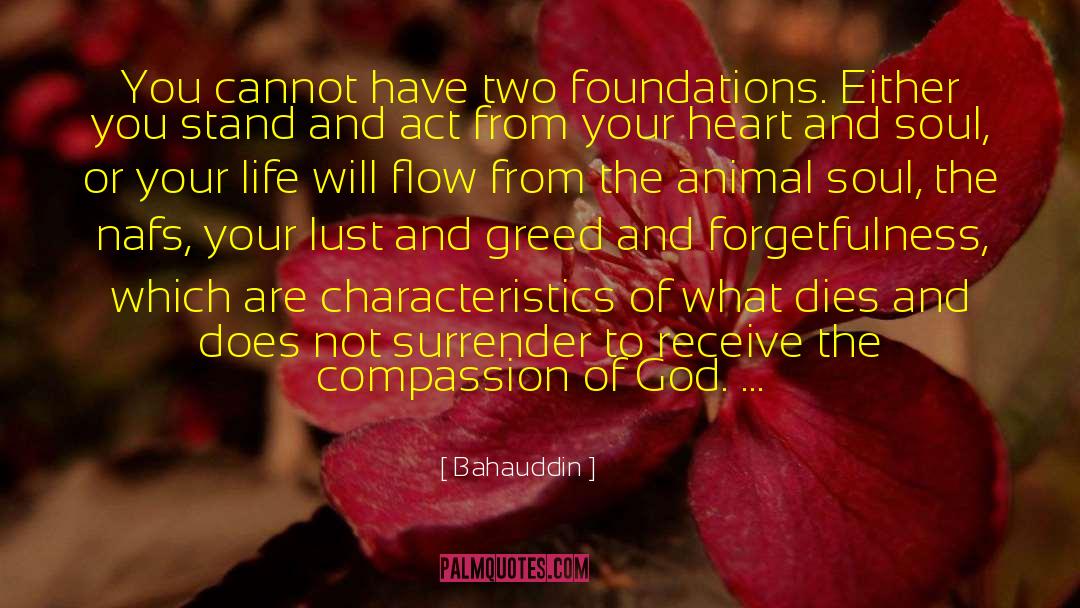 Foundations quotes by Bahauddin