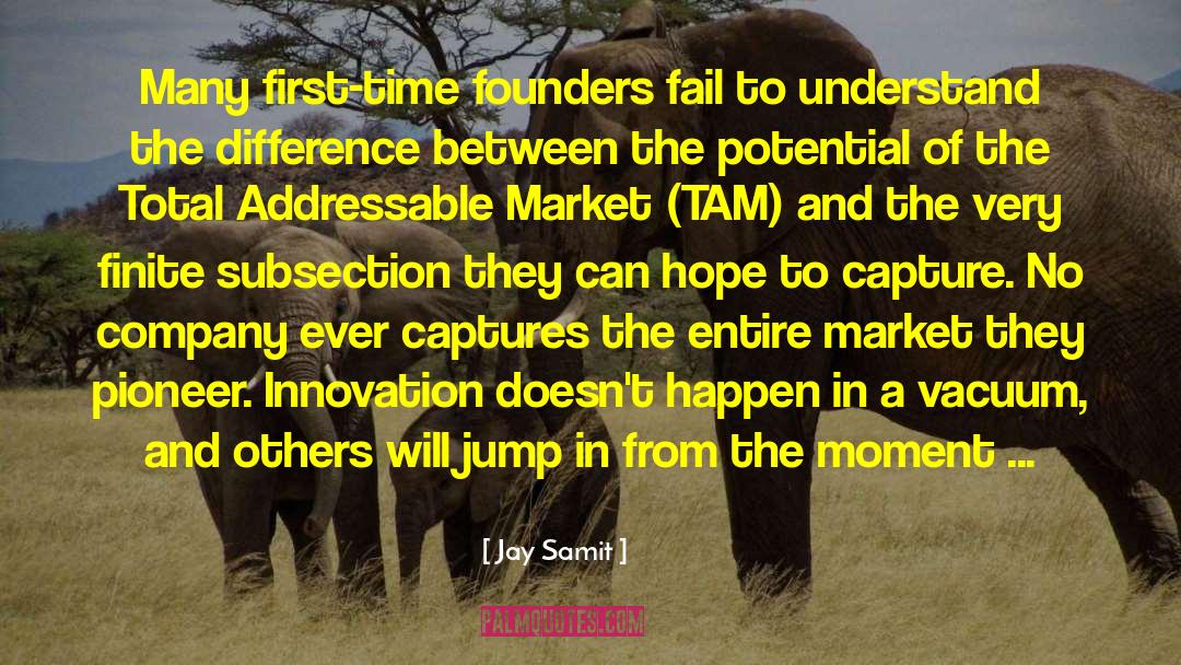 Founders quotes by Jay Samit