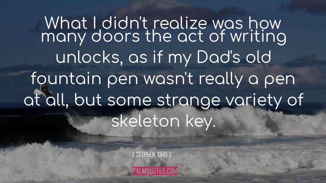 Fountain Pen quotes by Stephen King