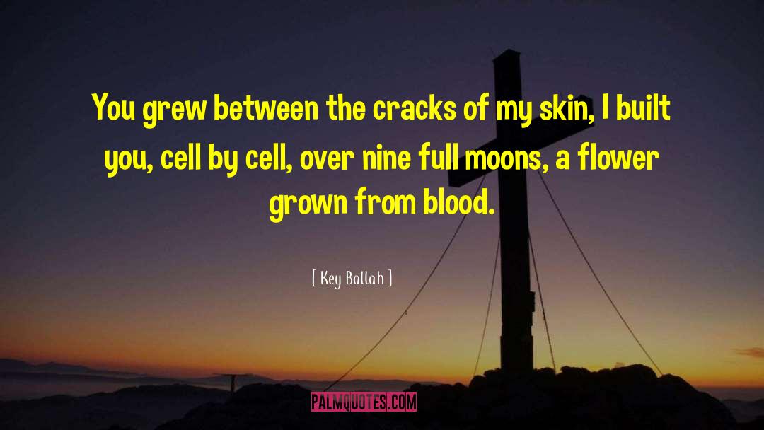 Four Blood Moons quotes by Key Ballah